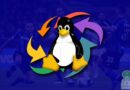 Come utilizzare i link acestream su Linux Ubuntu e derivate