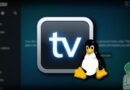 Come abilitare il Client PVR di Kodi per vedere la TV su Ubuntu e derivate