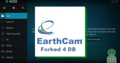 earthcam fanart
