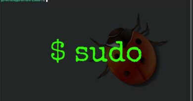 sudo-linux-falla