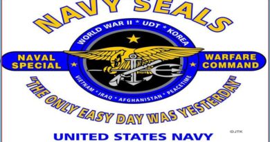NavySeal Big Brother fanart