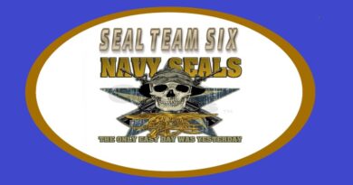 SealTeam6 fanart