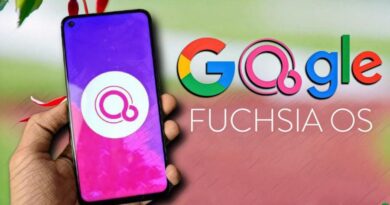 google-fuchsia