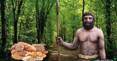 alimentazione-homo-neanderthal