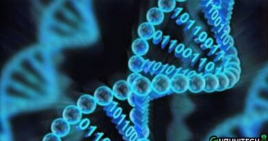 dna-data