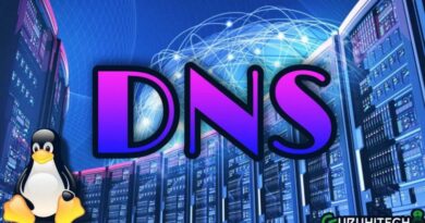 dns-linux