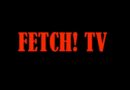 Fetch! Kodi add-on: guida completa all’installazione