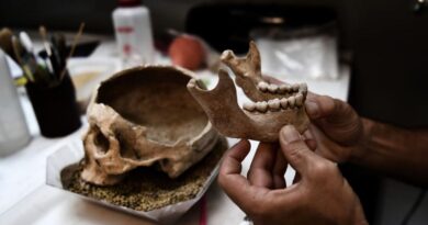 Nuova specie di uomo preistorico scoperta in Israele