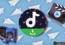 Telegram ti permette di scaricare i video di TikTok