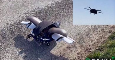 drone insetto