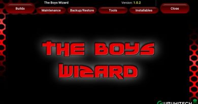 the boys wizard