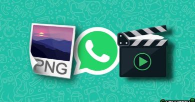 file multimediali whatsapp