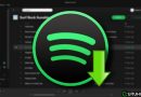 Come scaricare i brani da Spotify Premium