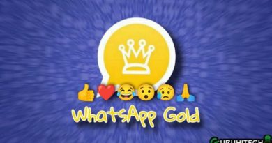 whatsapp gold 13