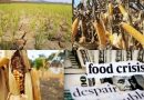 La carenza di cibo sarà mortale come la prossima pandemia [VIDEO]