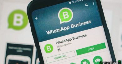 whatsapp business