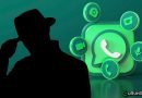 WhatsApp: finalmente puoi nascondere che sei online