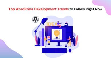 wordpress company development