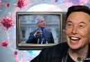 Twitter: Elon Musk ha preso di mira Anthony Fauci