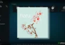 Haru Kodi add-on: guida all’installazione [ANIME]