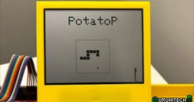 PotatoP