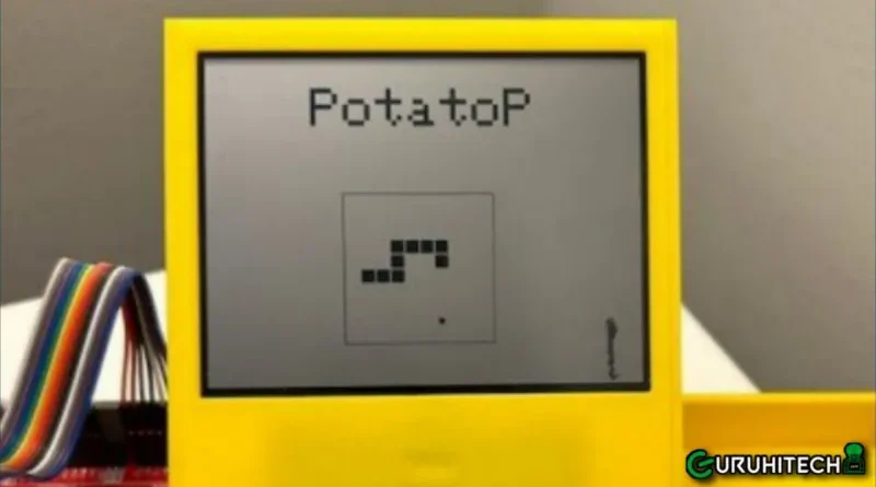 PotatoP