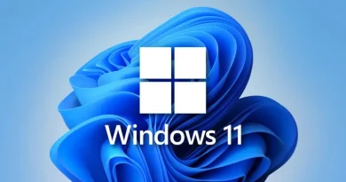 windows 11