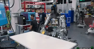 tesla bot