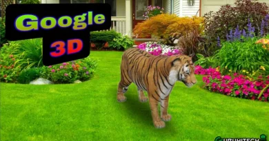 google 3d