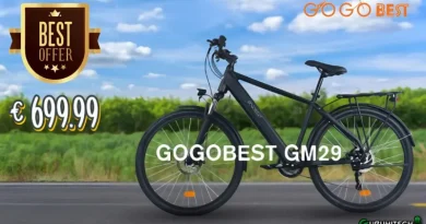 GOGOBEST GM29