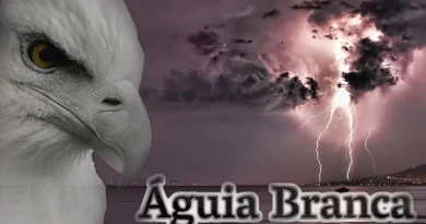 aguia branca