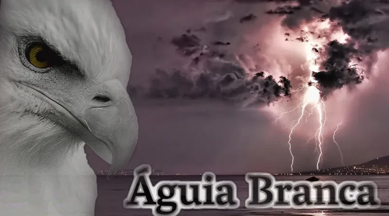 aguia branca