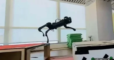 cane robot