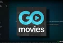 GOmovies Kodi add-on: guida all’installazione