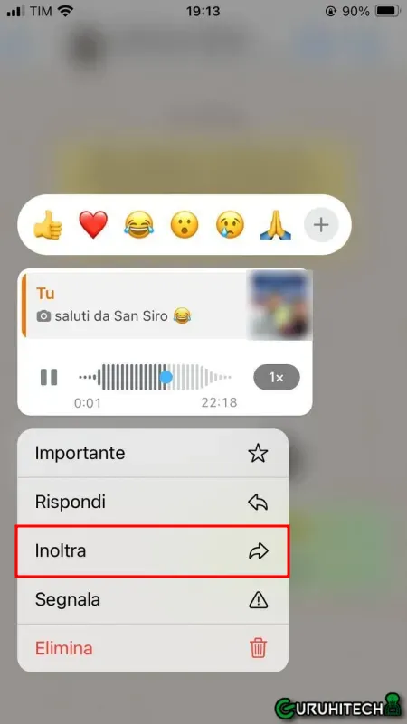 Come Impostare L'audio Di WhatsApp Come Suoneria Su IPhone • GuruHiTech