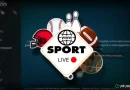 Diggz Sports Browser Kodi add-on: guida all’installazione