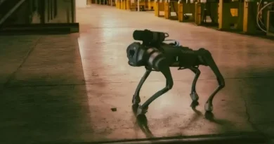 robodog cern