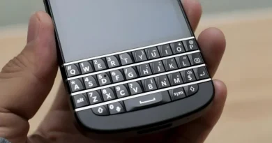 blackberry