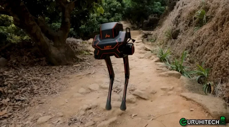 pollo robot
