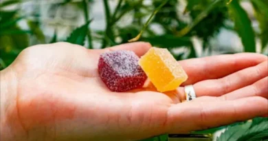 cbd gummies