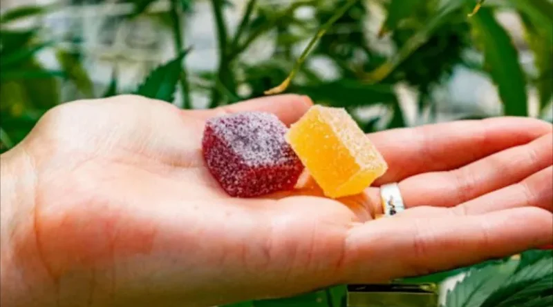 cbd gummies