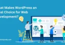 wordrpress web development