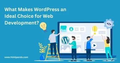 wordrpress web development