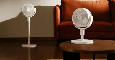 Mijia Fan