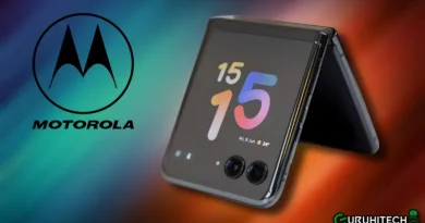 motorola razr 50