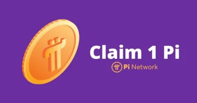 Pi Network