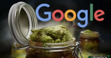 google gemini e botulismo