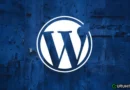 wordpress development service