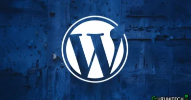 wordpress development service