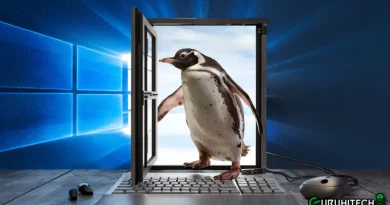 Linux installer for Windows